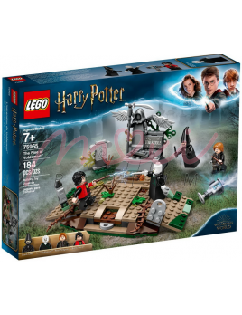 LEGO Harry Potter 75965 The Rise of Voldemort